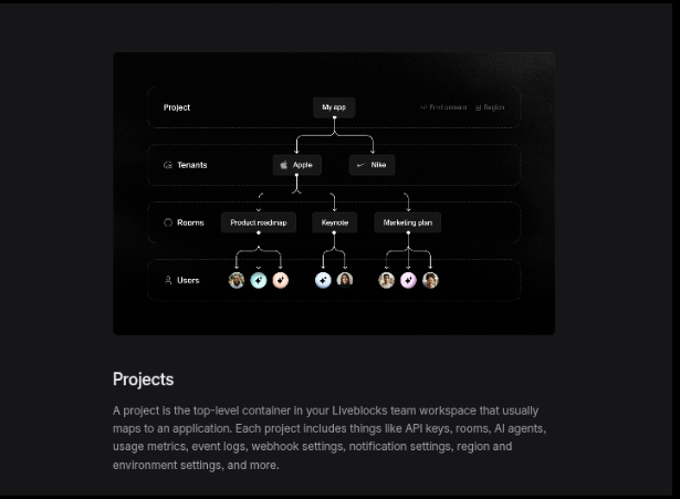 Project model
